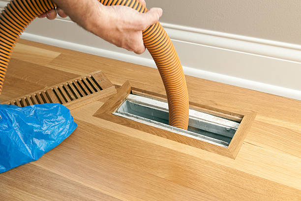 Air Duct Mold Removal in Hebron, PA
